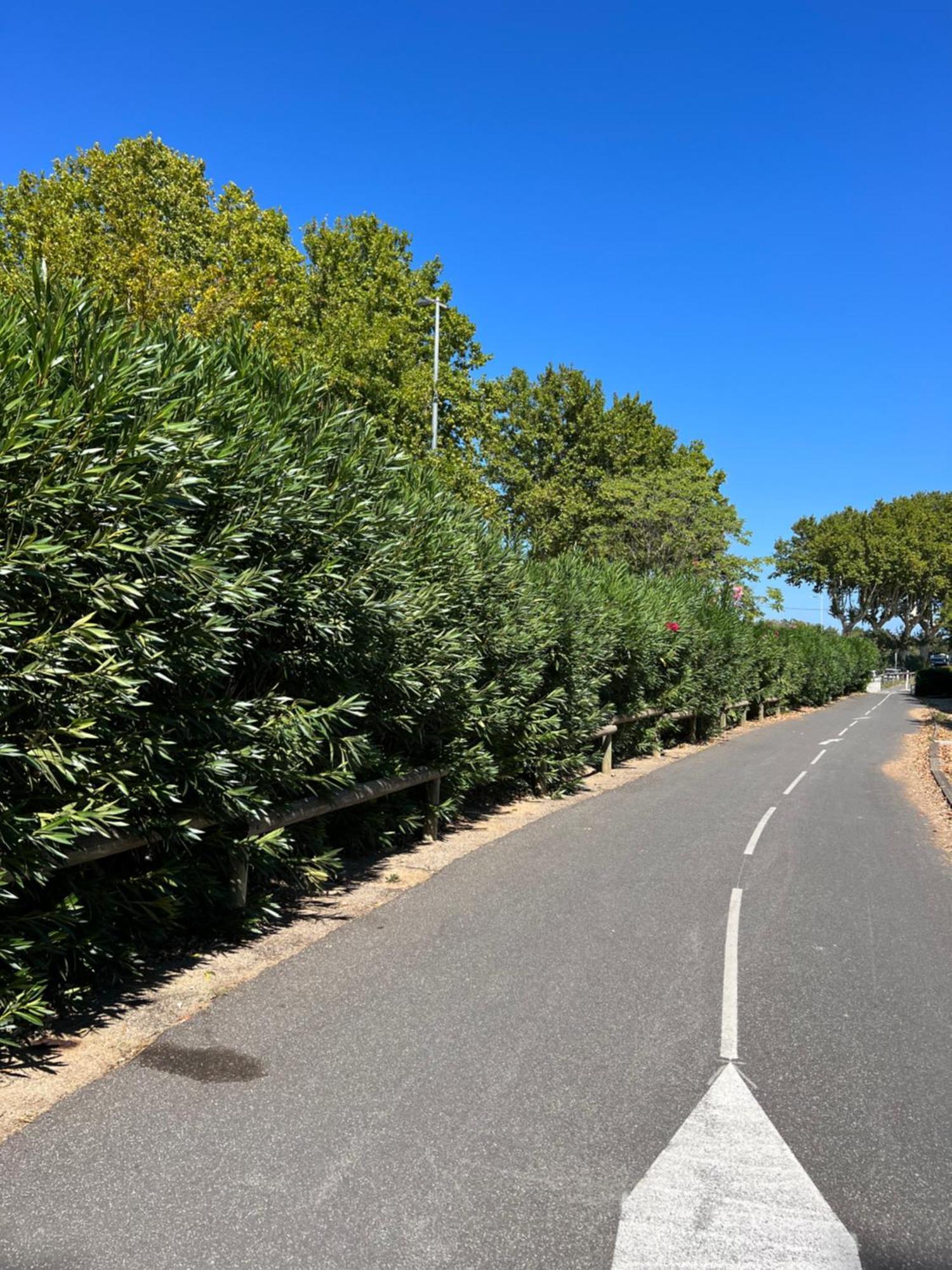 Le Refuge Du Littoral N8 Apartment Grimaud Luaran gambar